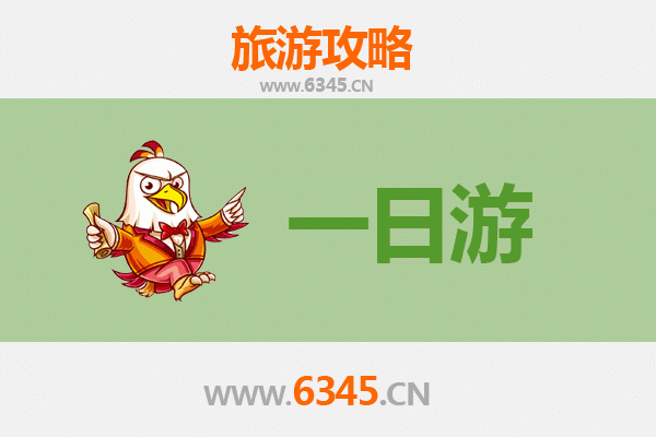 新北林口出发：张家界仙境之旅全攻略